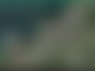 O graffitti a través do carril bici de Vigo