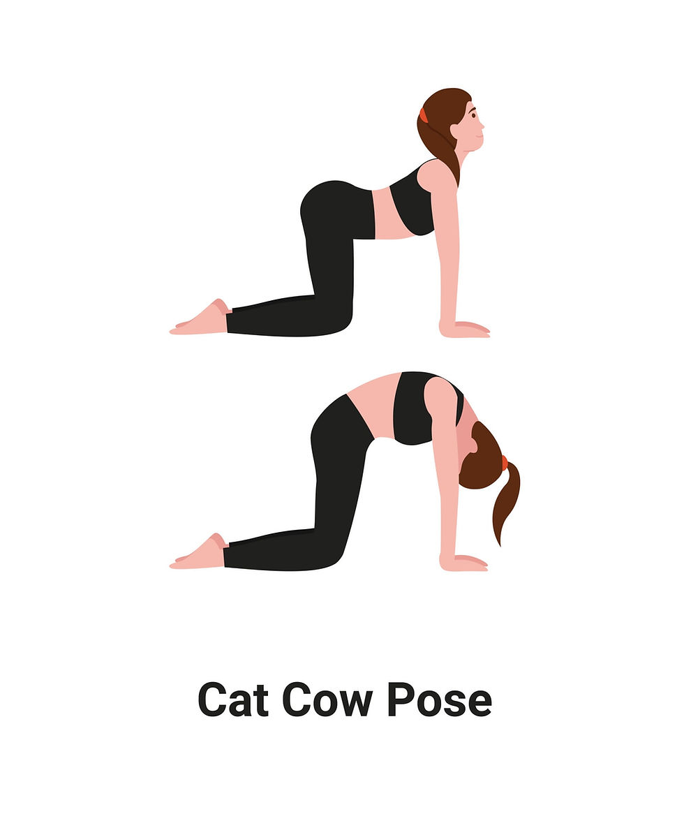 Diagram of a cat/cow pose