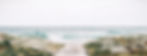 Rustic%20Beach%20Path_edited.jpg