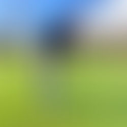 The perfect putting stroke