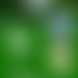 Why This Autumn is the Perfect Time for a Lesson