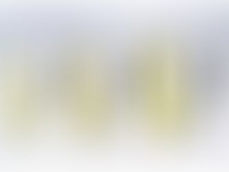 DFS411中姜的防疫故事 (DFS411 : the specific role of Ginger in immune system within integration function)