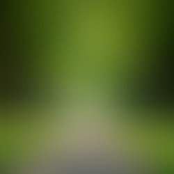 Consejos de salud para una vida plena