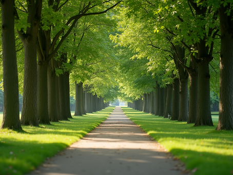 Consejos de salud para una vida plena