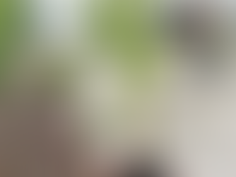 A Must Have Plant in Your Garden: Spotted Bee Balm