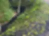 Close-up of a slope stabilized using planting techniques by Lake Effect Garden & Design_