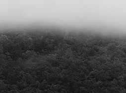 555812704_2689107024765579_5148056558942