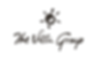 logo the villa group.png