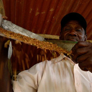 Moruga Red Gold (Branding Video)