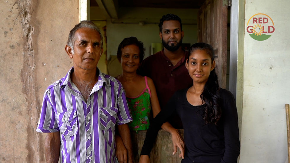 red_gold_(moruga_hill_rice) (1080p).00_03_10_00.Still019.jpg