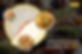 food options throughout the clock for better cafeteria management
