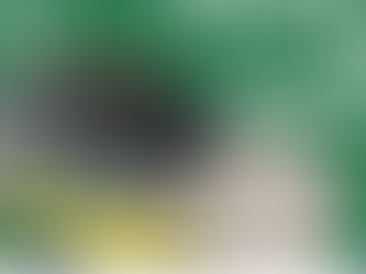 Passage de grade zone Nord à Montauban 18 Novembre