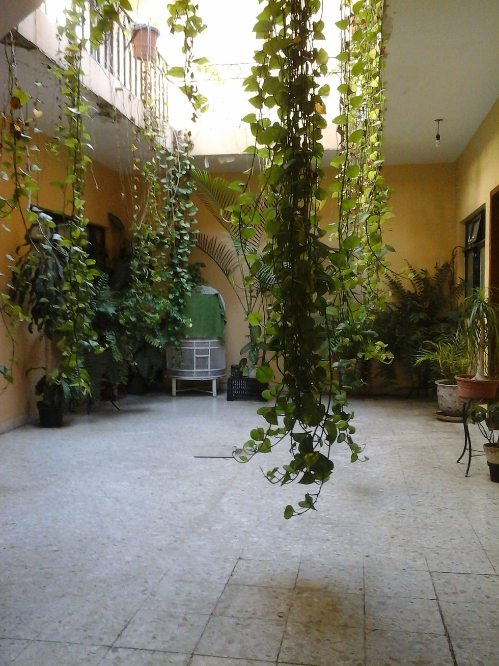 Patio interior