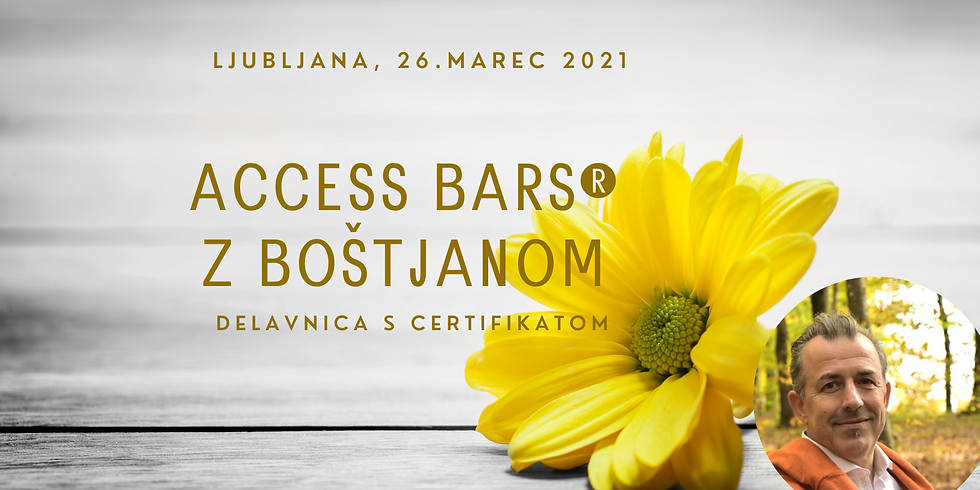 Ljubljana: Certificiran tečaj Access Bars® z Boštjanom