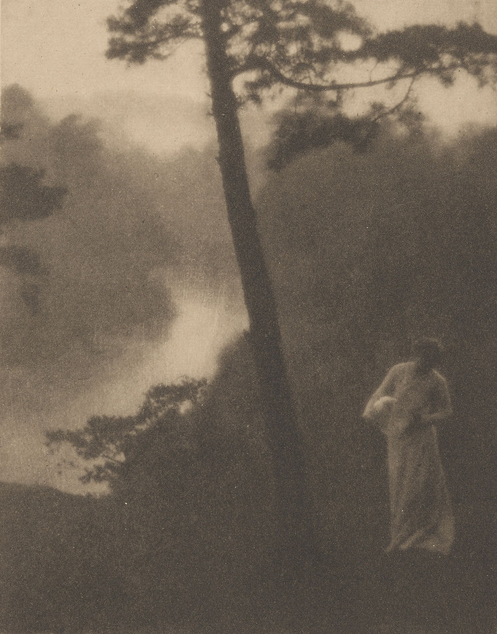 a_landscape_2025.15.38.jpg