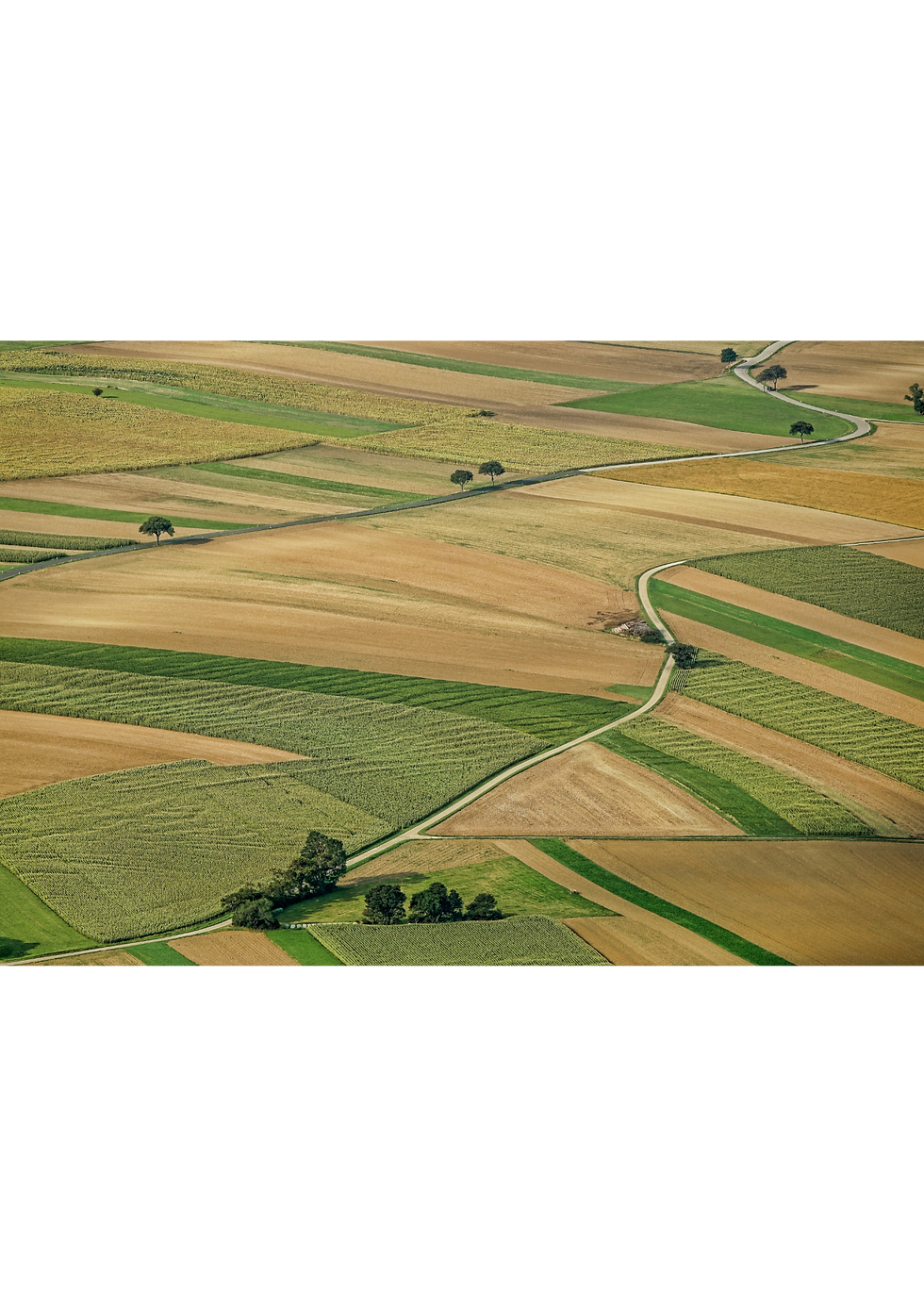 Le temps long de l’évolution agricole