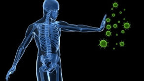 Use Your Lymphatic System To Aid In Your Immunity