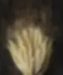 Matt Monograno wheat