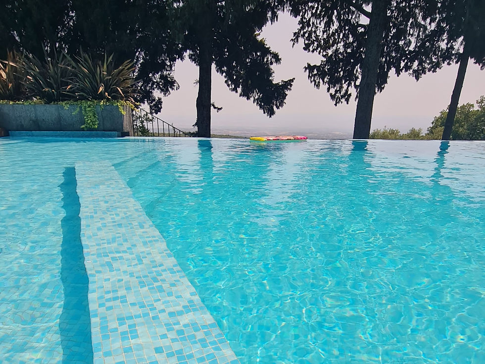 WhatsApp Image 2024-01-19 at 00.18.09.jpeg