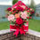 Thumbnail: Valentine’s Day envelope flowers 