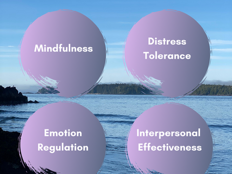 Dialectical Behavior Skills Group