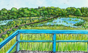 Blue railing with two wetlands and a trail in the background.