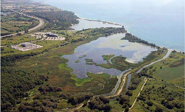 Aerial photograph showing Oshawa Second Marsh separated from Farwell Creek by a berm