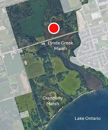 red circle with map.JPG