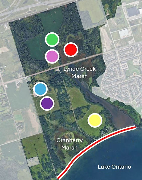 Site locations.JPG