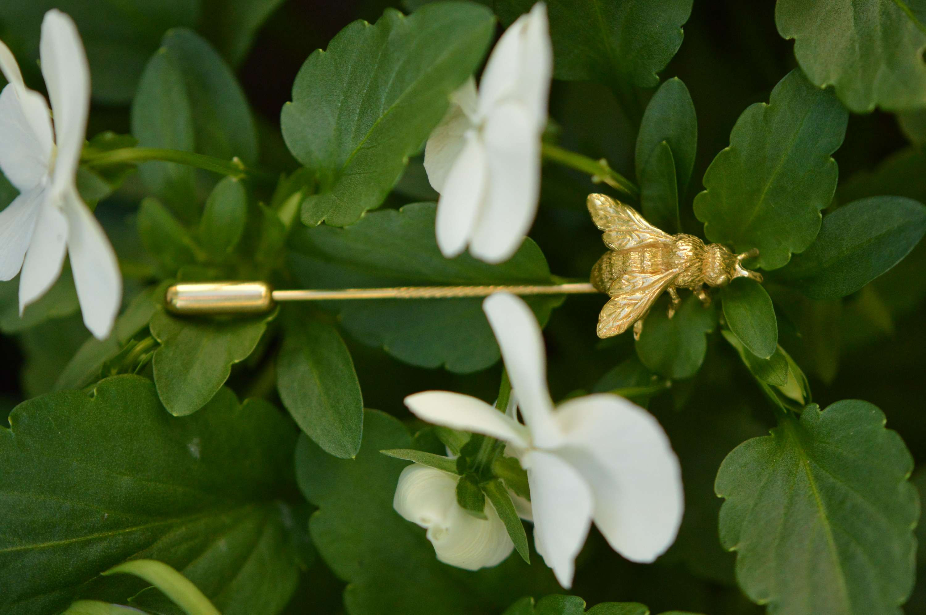Top view of a gold honey bee tiepin on top of greenery and white flowers