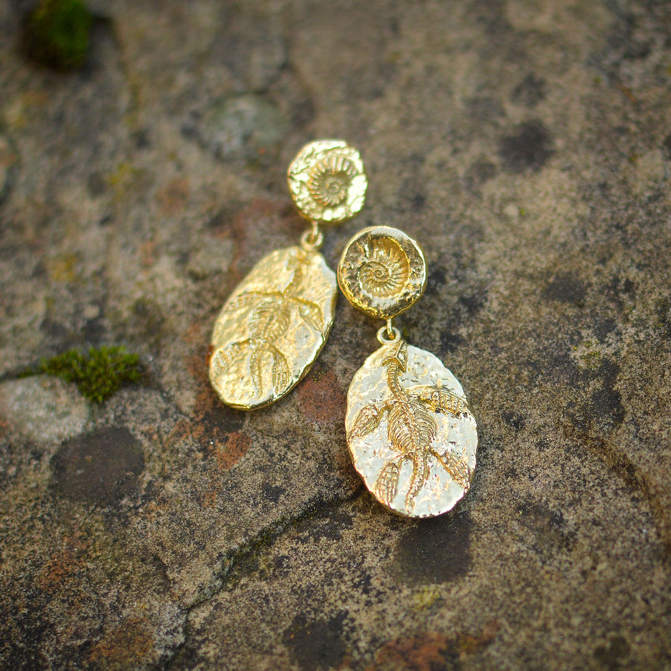 Thumbnail: Gold dangly fossil earrings depicting plesiosaur and ammonite fossils on rock background