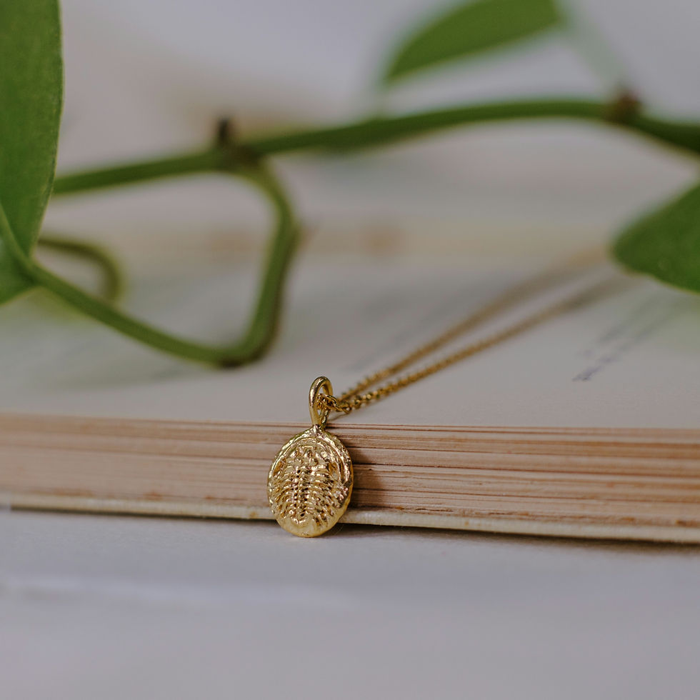 Thumbnail: Solid Gold Trilobite Pendant