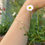 Thumbnail: 18ct Gold Tiny Wren Bracelet