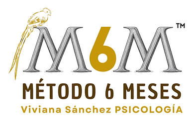 M6M Método 6 Meses