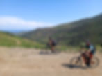 photo site vigness.jpg