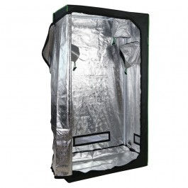 Tips for Efficient Gardening in Grow Tents