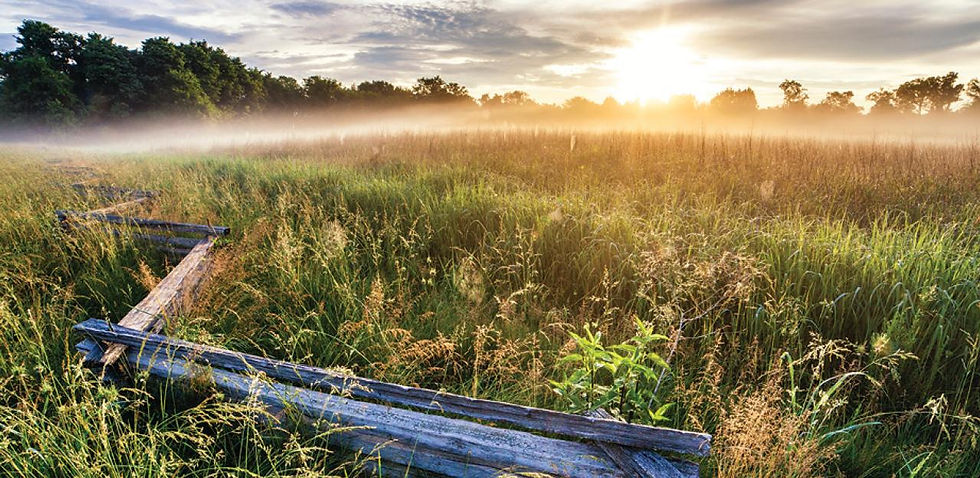 McFadden Farm at Stones River Secor Landscape