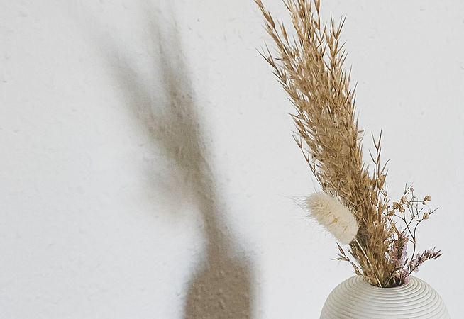 ou treouver un coach en bonheur ou bien etre à perpignan