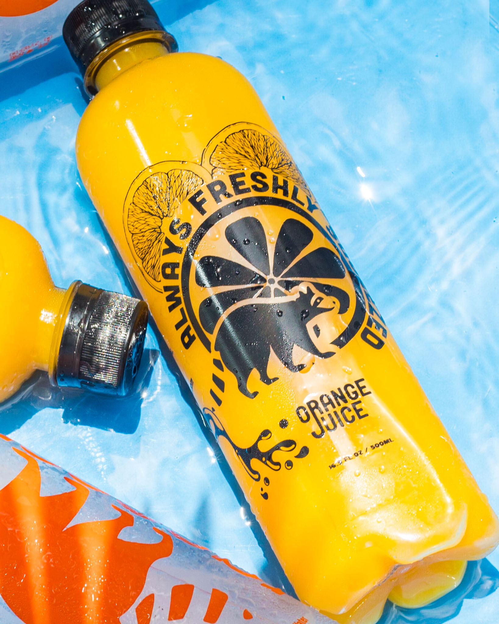 Arranged Food and Objects