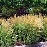 Capture d’écran 2025-12-22 à 15.56.57.png