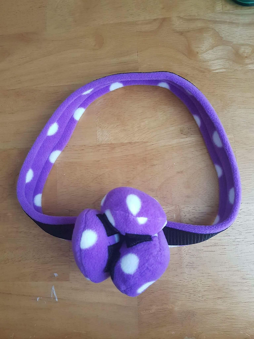 Handled Treat Ball