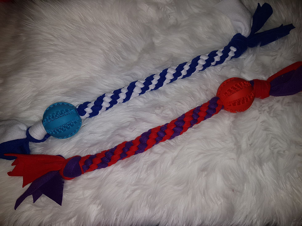 Large Spikey Ball Tug