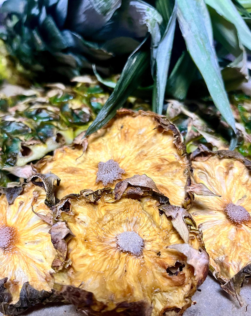 Thumbnail: Dehydrated Citrus