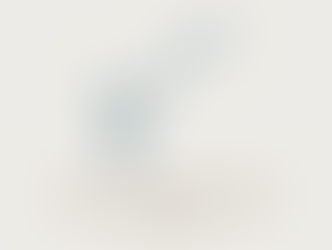 The Opportunity – I servizi sono ora disponibili anche in italiano