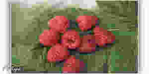 ягоды малины