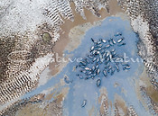 DJI_0829.jpg