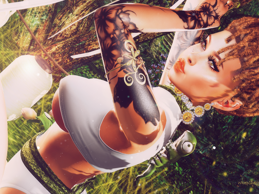 LibraStyle-113
