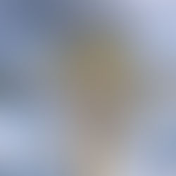 Have You Ever Asked Yourself This Question?