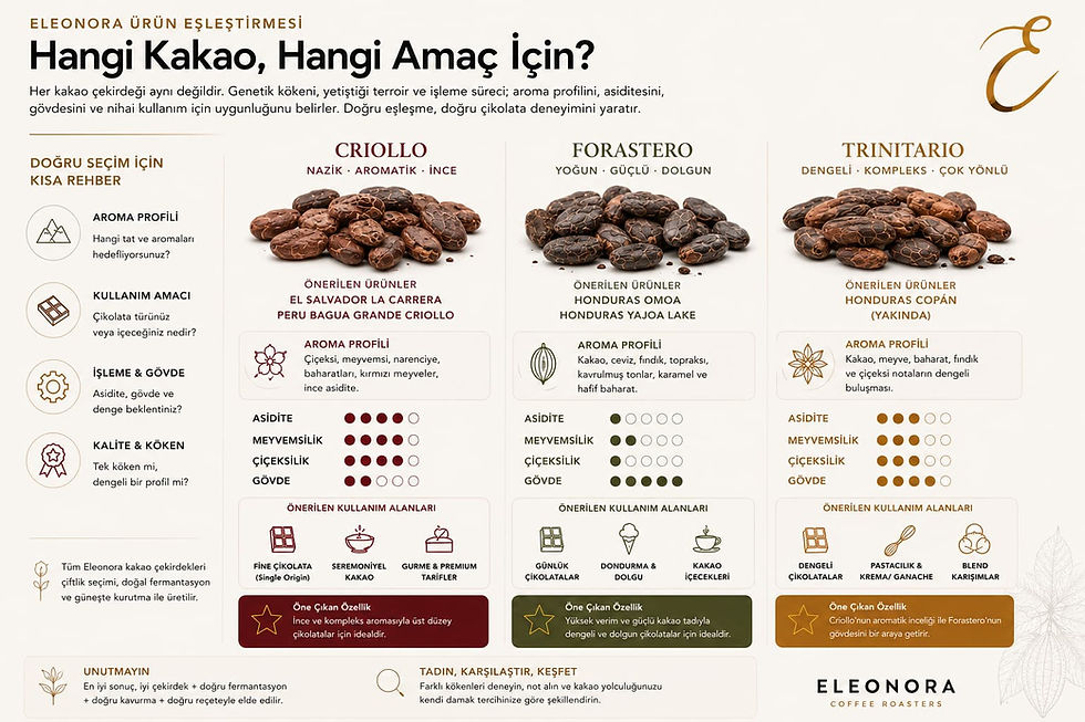 Farklı kullanım amaçlarına göre önerilen Eleonora Coffee kakao çekirdeklerini gösteren seçim rehberi.
