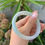 Thumbnail: 【闲置A158】62.5大圈口正圈糯冰淡绿翡翠手镯  Jadeite Bangle Size 62.5
